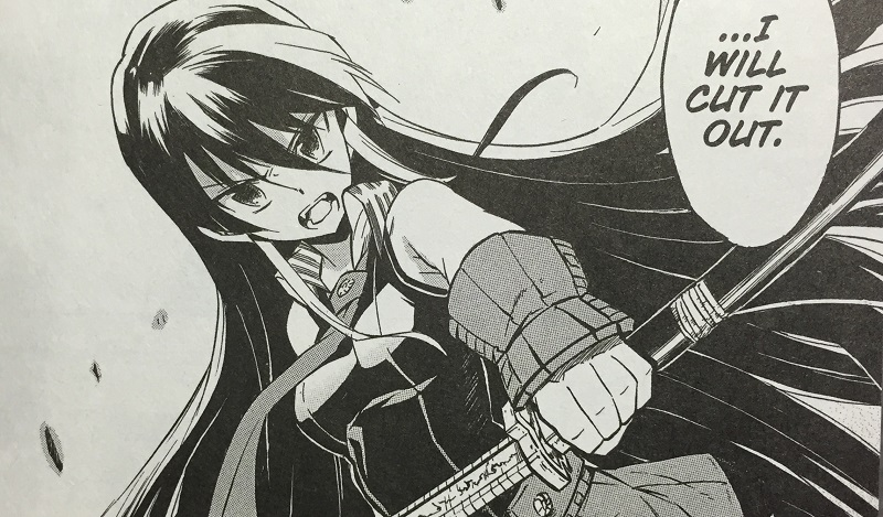Illustration for article titled Akame ga Kill! Vol. 4 - Manga Review